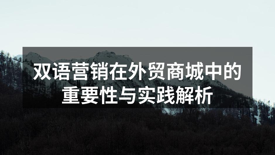 双语营销在外贸商城中的重要性与实践解析